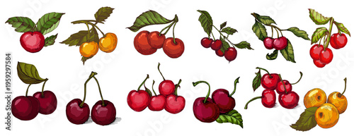 Vibrant Colorful Cherries Illustration. Ripe Red Sweet Cherry Fruit with Green Leaves. Creative Artistic Food Design for Summer Branding and Healthy Lifestyle
