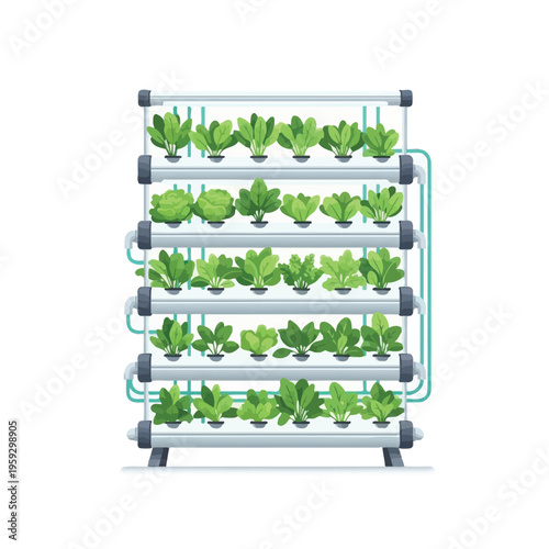 Vertical hydroponic farming system growing fresh lettuce indoor sustainable agriculture