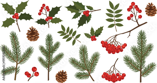 Vintage Hand Sketched Winter Botanical Element Vector Set Featuring Evergreen Pine Branches Holly Leaves Pinecones and Red Berries with Etched Texture for Holiday Graphic Designs