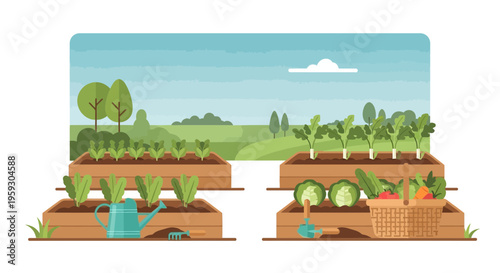 Raised Garden Beds With Growing Vegetables And Irrigation Systems.