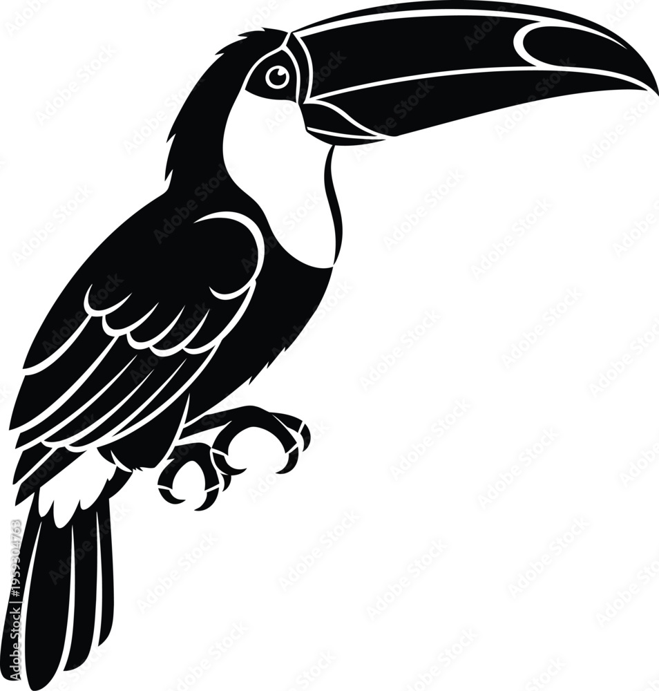 Obraz premium Black and white illustration of a toucan bird