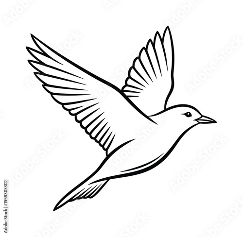Vector of a flying bird with wings spread wide and feathers