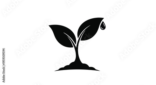 Young plant sprouts from soil with a single drop of water.