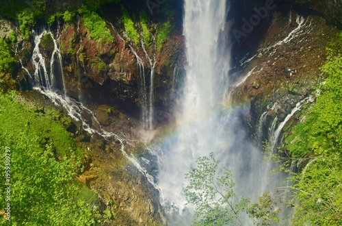 緑につつまれる奥日光 華厳の滝