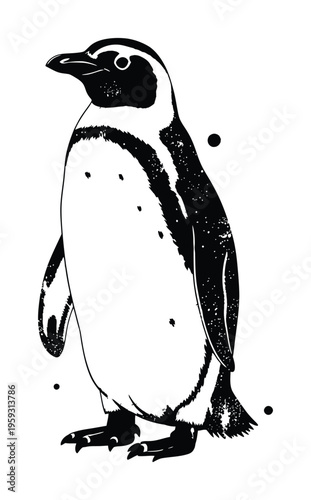 Vector of a penguin standing upright with distinct spots on its belly