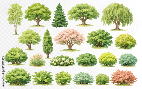 Watercolor garden landscape collection with ornamental trees, shrubs and varied green bushes, realistic botanical clipart set for park plans, borders and outdoor nature design. Vector illustration
