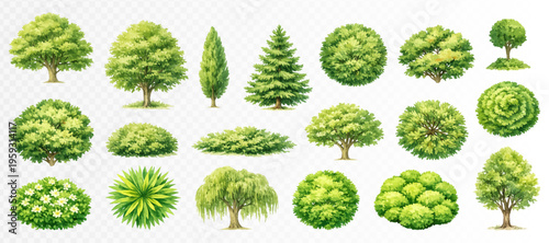 Mixed collection of trees and shrubs in fresh green watercolor landscape style, detailed botanical clipart set for garden planning, park layouts, outdoor illustrations and nature scenes. Vector