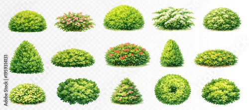 Assorted decorative shrubs and bushes in vivid green watercolor garden style, realistic botanical clipart set for landscaping plans, park illustrations, outdoor layouts and nature graphics. Vector