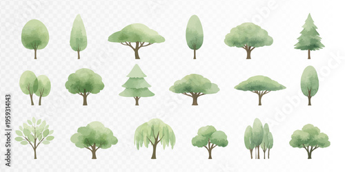 Set of soft green trees in minimal realistic watercolor landscape style, elegant park and garden clipart collection for architectural plans, map elements, outdoor scenes and nature design. Vector