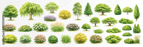 Large collection of ornamental trees and shrubs in soft realistic watercolor garden style, detailed green landscape clipart set for park plans, outdoor design, landscaping and nature projects. Vector