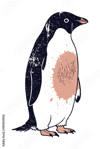 Vector of a penguin with a white belly and a black body standing against a white background.