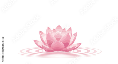 Elegant pink lotus flower vector illustration with subtle water ripples, perfect for spa, wellness, beauty, and meditation designs, isolated on white background