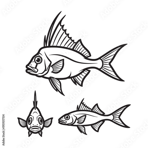 Lookdown Fish Compressed Three View Bold Line Art Vector Design