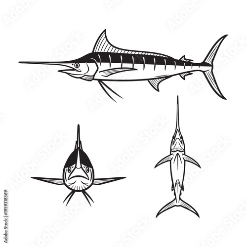Spearfish Short Bill Three View Bold Line Art Vector Illustration