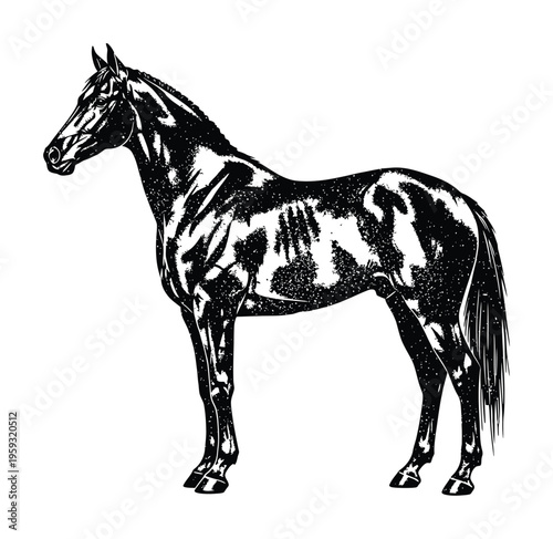 Vector of a standing horse with bold shading and stark contrast