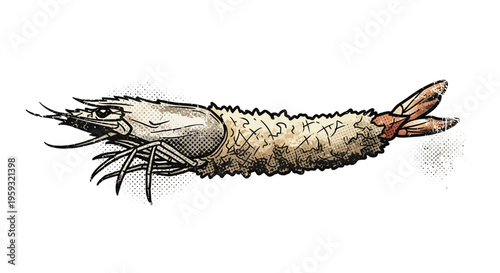 Crispy fried shrimp illustration on white background