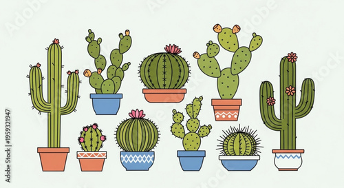 Collection of various colorful potted cacti and succulents with flowers on light green background