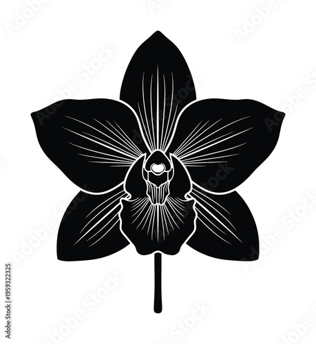 This vector depicts a black silhouette of an orchid flower with intricate line details and symmetrical design elements