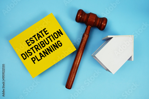 Fotografi Estate Distribution Planning text with judgment gavel and house model on blue ba