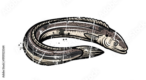Vintage Eel Illustration
