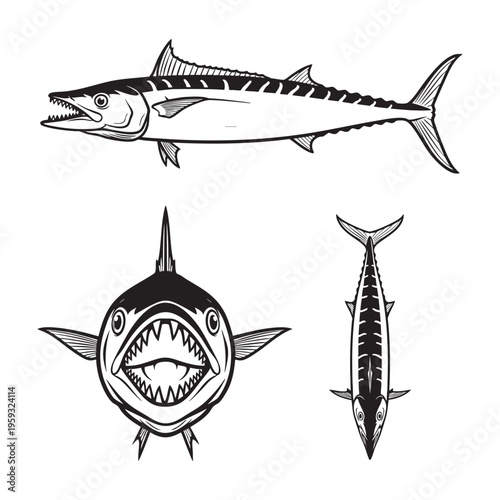Large Tooth Mackerel Sharp Jaw Three View Bold Line Art Vector Design