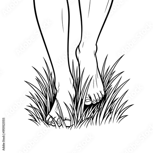 Bare feet walking on lush green grass in a natural setting , isolated on transparent background   