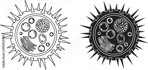 A detailed illustration of two virus cells in black and white, showcasing their intricate structures and organelles.