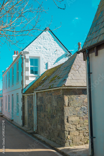 Obraz na plátne Typical housing architecture on Sark