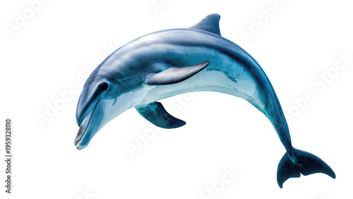 Tableau sur toile Graceful bottlenose dolphin swimming majestically, captured in motion, displayin