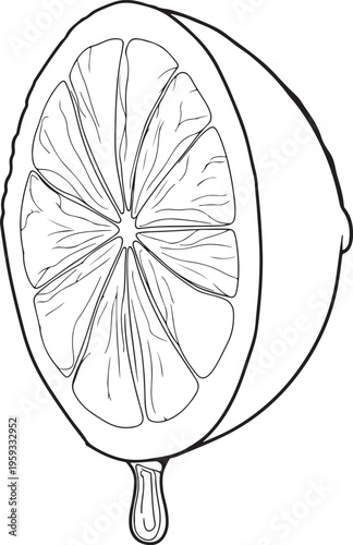 Clean line art illustration of a freshly halved lemon, featuring its internal segments and a single drop of tart juice gracefully falling, symbolizing zest