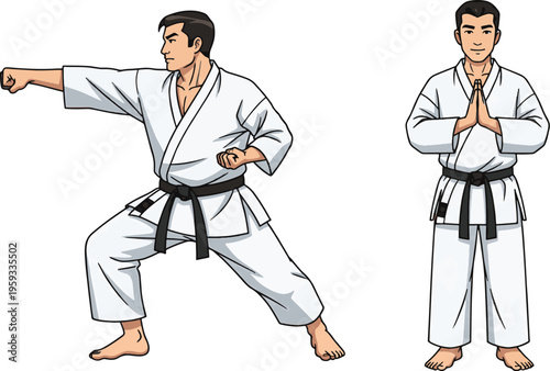 Karate fighter in stance, flat design vector