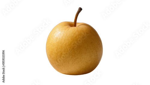 Bright yellow-brown Nashi pear, a crisp and sweet whole Asian fruit with stem for healthy snack
