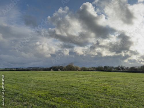Green spring field under layered cloudy sky calm rural landscape in northern Spain natural light before rain