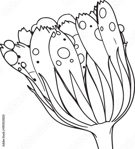 Elegant line art drawing featuring a detailed flower bud, capturing the serene beauty of nature's growth and the promise of a blossoming bloom with intricate botanical outlines