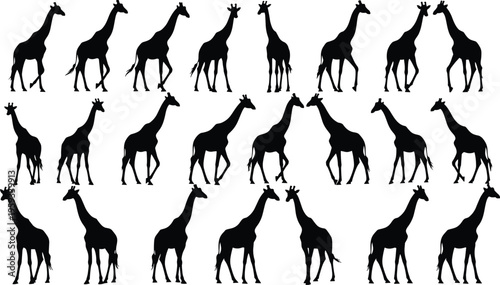 Photography Black silhouette set of giraffes in various poses, walking, standing, and grazing, African safari animal collection for wild nature designs