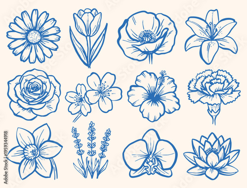 Hand drawn spring flowers vector illustration set of rose tulip lily daisy lotus and orchid botanical sketches on light background for floral nature design