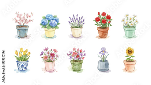 Watercolor Flower Pot Clipart Set — 10 Potted Garden Flowers PNG SVG Vector Illustration
