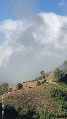 Panning shot of thick white mist and clouds flowing over lush green mountain peaks