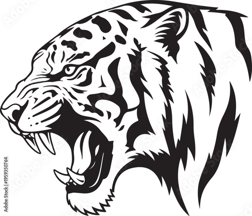 Fierce tiger head, black and white illustration, roaring animal, wildlife graphic isolated on Transparent Background