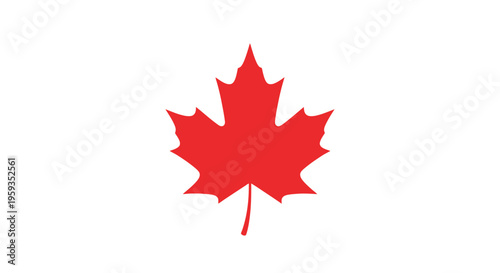 Vibrant red maple leaf on white background celebrating canada day
