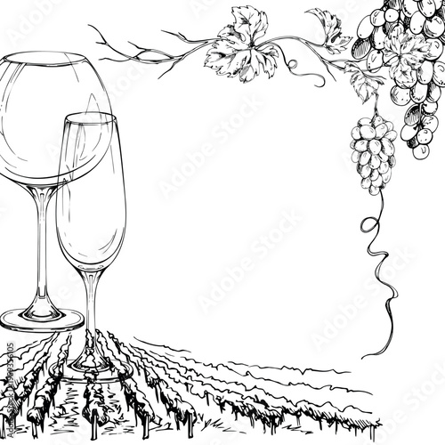 Vineyard frame with stylized rows of grapevines, balloon and flute wine glasses, grape bunches on twisting leafy vines. Isolated hand drawn ink vector illustration. Bottle labels, menus, invitations