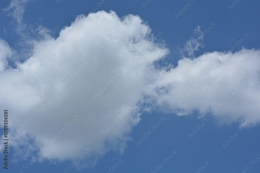 Obraz premium Blue Sky With Large White Cumulus Cloud