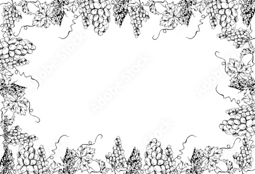 Ornamental grapevine frame with balanced grape clusters, twisting tendrils and expressive foliage. Isolated vector illustration hand drawn in ink. Wine menus, barrel aging certificates and inserts.