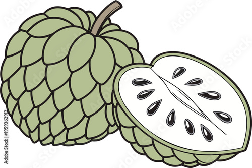 Fresh Custard Apple Fruit Set. Organic Custard Apple Illustration. Tropical Custard Apple Collection. Custard Apple Healthy Fruit Concept. Custard Apple Whole and Slice Set. Exotic Custard Apple Fruit
