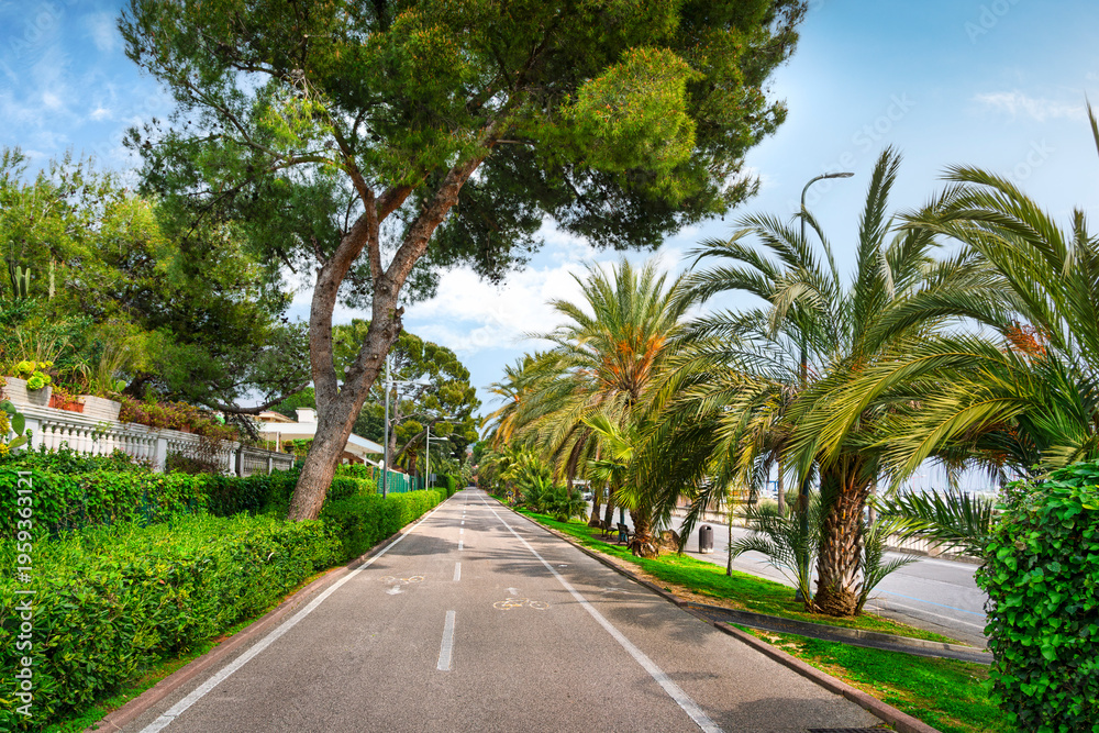 Fototapeta premium Coastal Cycling Path with Palm Trees in Sanremo, Italy