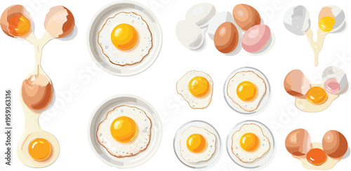 Fried egg and cracked egg illustration set featuring yolk, breakfast food, cooking process, and kitchen ingredient concepts in realistic flat vector style