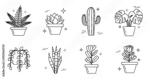 Collection of potted houseplants in a modern line style perfect for home decor inspiration and botanical themed branding materials