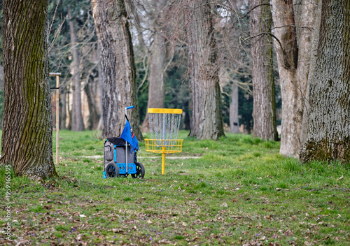Disc golf cart and disc golf basket