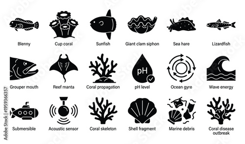 Comprehensive collection of marine life and ocean environment glyph icons representing underwater species scientific research and ecological conservation for educational and infographic use