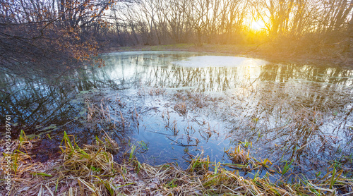 small calm lake in the forest at the sunset, quet outdoor scene